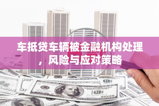 陵水车抵贷车辆被金融机构处理，风险与应对策略