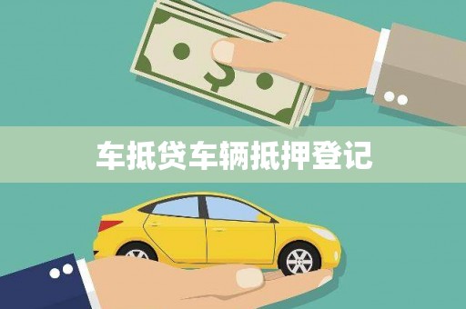 无为车抵贷车辆抵押登记