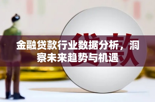 德州金融贷款行业数据分析，洞察未来趋势与机遇